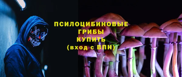 соль ск Вязьма