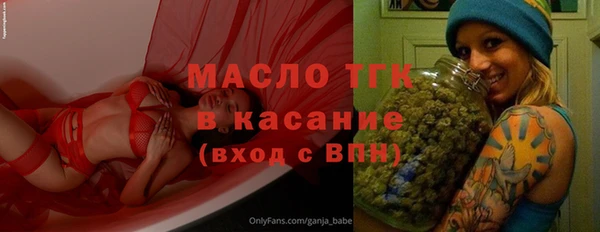 скорость Вяземский