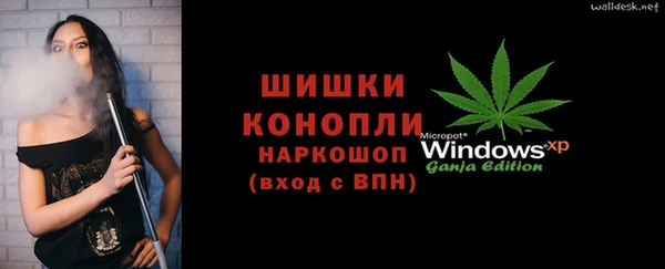 скорость Вяземский