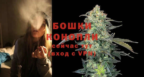 соль ск Вязьма