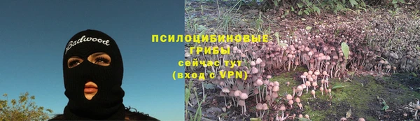 прущий лед Вязники