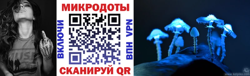 наркотики  Ильский  Псилоцибиновые грибы Cubensis 